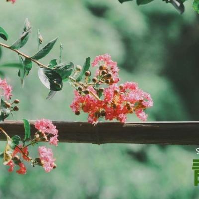 博鱼综合体育APP