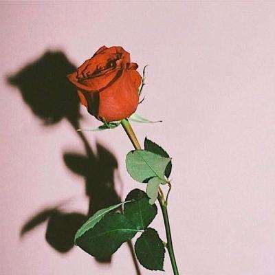 皇冠APP官方版下载安装