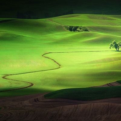 加拿大pc软件平台