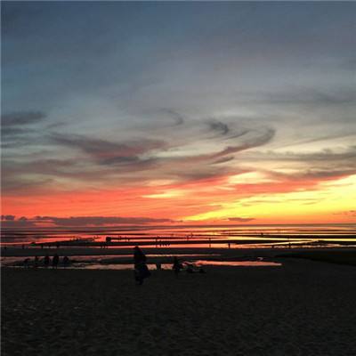 ag入口官网登录下载手机版