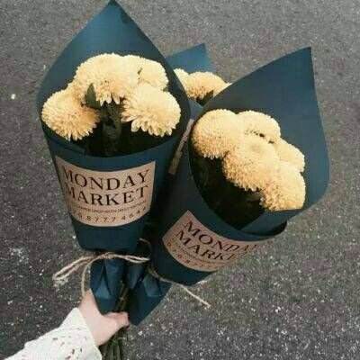 Bob体育登录入口APP下载