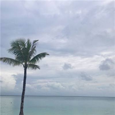 星空app官方版手机app下载