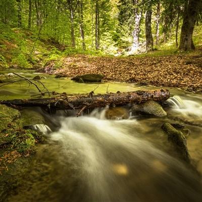 万博·ManBetX手机手机app下载