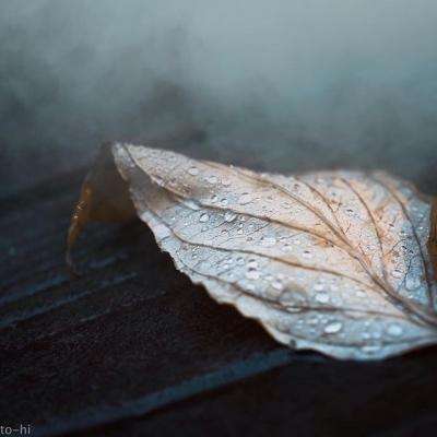 leyu·乐鱼(中国)体育手机app下载