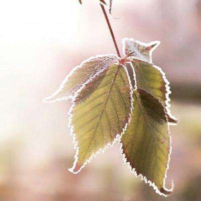 2023管家婆资料正版大全澳门