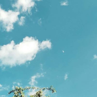 十大正规彩票网站截图